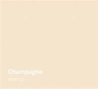 Image result for Couleur Champagne Palette