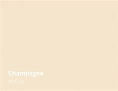 Image result for Light Champagne Color