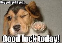 Image result for Good Luck Today Meme