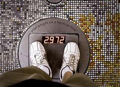 Image result for Lose Weight Flat Stomach