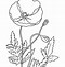 Image result for Lest We Forget Poppy Clip Art Black and White