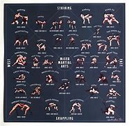 Image result for Types of Mixed Martial Arts