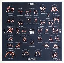 Image result for Martial Arts Fighting Styles