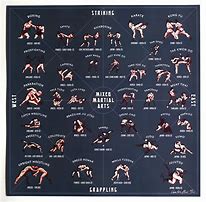 Image result for Different Fighting Techniques