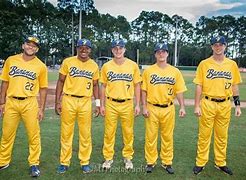 Image result for MLB Baseball