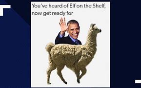 Image result for Heard of Elf On the Shelf Memes