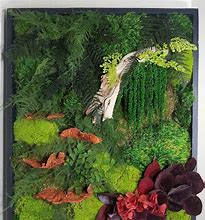 Image result for Framed Moss Art