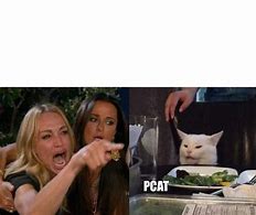 Image result for Ppcat Meme