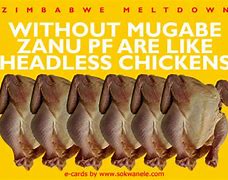 Image result for Chicken Memes Clean