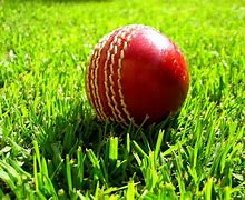Image result for Cricket Ball Pic