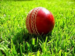 Image result for Cork Ball Cricket