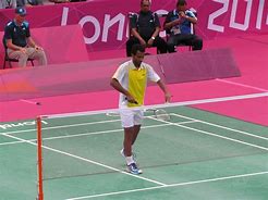 Image result for Badminton Singles
