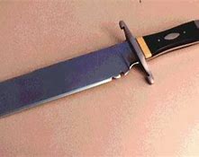 Image result for Sharp Twelve Inch Hunting Knives