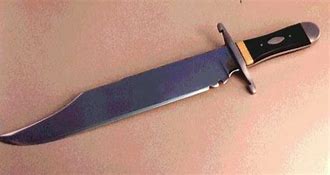 Image result for Best Fixed Blade Survival Knife