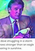 Image result for Dove Meme