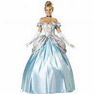 Image result for Adult Princess Costumes Party City