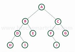 Image result for Binary Network