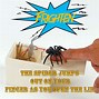 Image result for Fake Spider Box