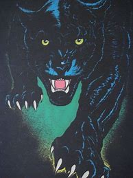 Image result for 80s Poster Panther