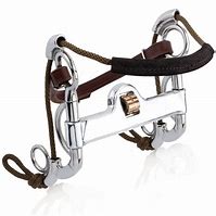 Image result for Combination Bits for Horses