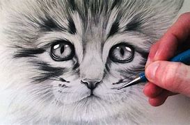 Результаты поиска изображений по запросу "How to Draw a Realistic Cat Face"