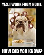 Image result for Work From Home Memes