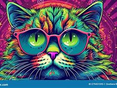 Image result for Trippy Cat Flourescent Sunglasses