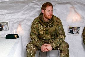 Image result for Prince Harry in the Army