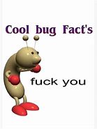 Image result for Bug Facts Meme