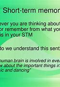 Image result for Short-Term Memory Brain