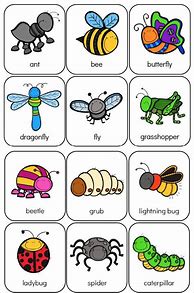 Image result for Free Preschool Bug Activities