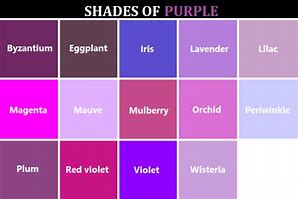 Image result for How Many Shades of Purple Image