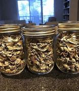 Image result for 2 Grams of Shrooms