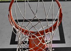 Image result for EVO Basketball