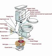 Image result for Washdown Toilet