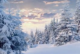 Image result for snow
