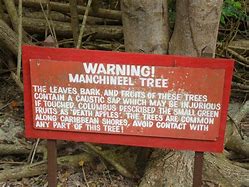 Image result for Deadly Trees