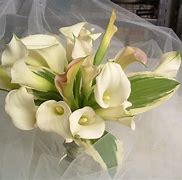 Image result for Rose Gold Bridal Bouquet