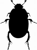 Image result for Bug Silhouette Printable