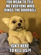 Image result for Dog Ringing Doorbell Meme