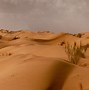 Image result for Middle Eastern in Desert