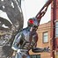 Image result for Mothman