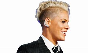 Image result for Pink Singer Interviews