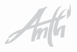 Image result for anth stock