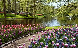 Image result for Summer Garden Scenes