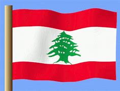 Image result for Lebanon Flag Vector File