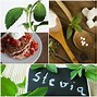 Image result for Stevia Powder Icon