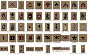 Image result for Army Enlisted Ranks Explained