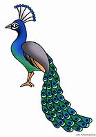 Image result for Peacock Cartoon Clip Art