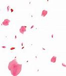 Image result for breast petals